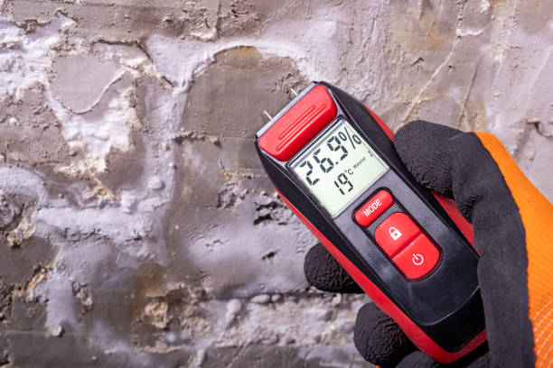Best Mold Cleaning Services  in Flemington, GA