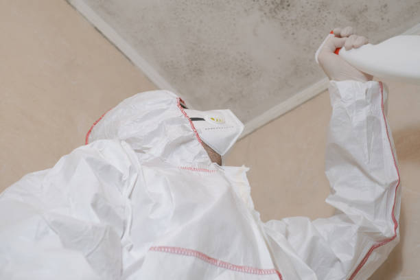 Best Commercial Mold Removal  in Flemington, GA