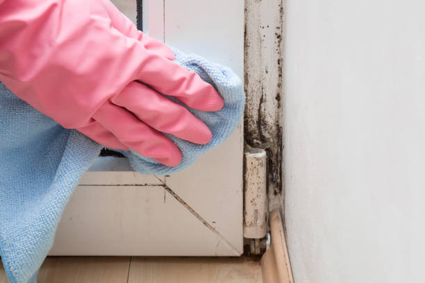Best Mold Testing  in Flemington, GA