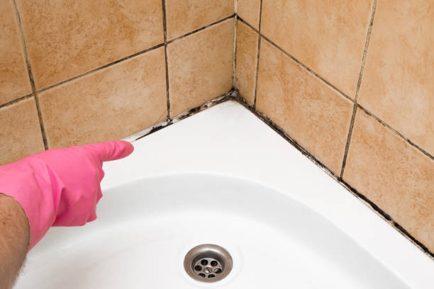 Best Office Mold Removal Services  in Flemington, GA